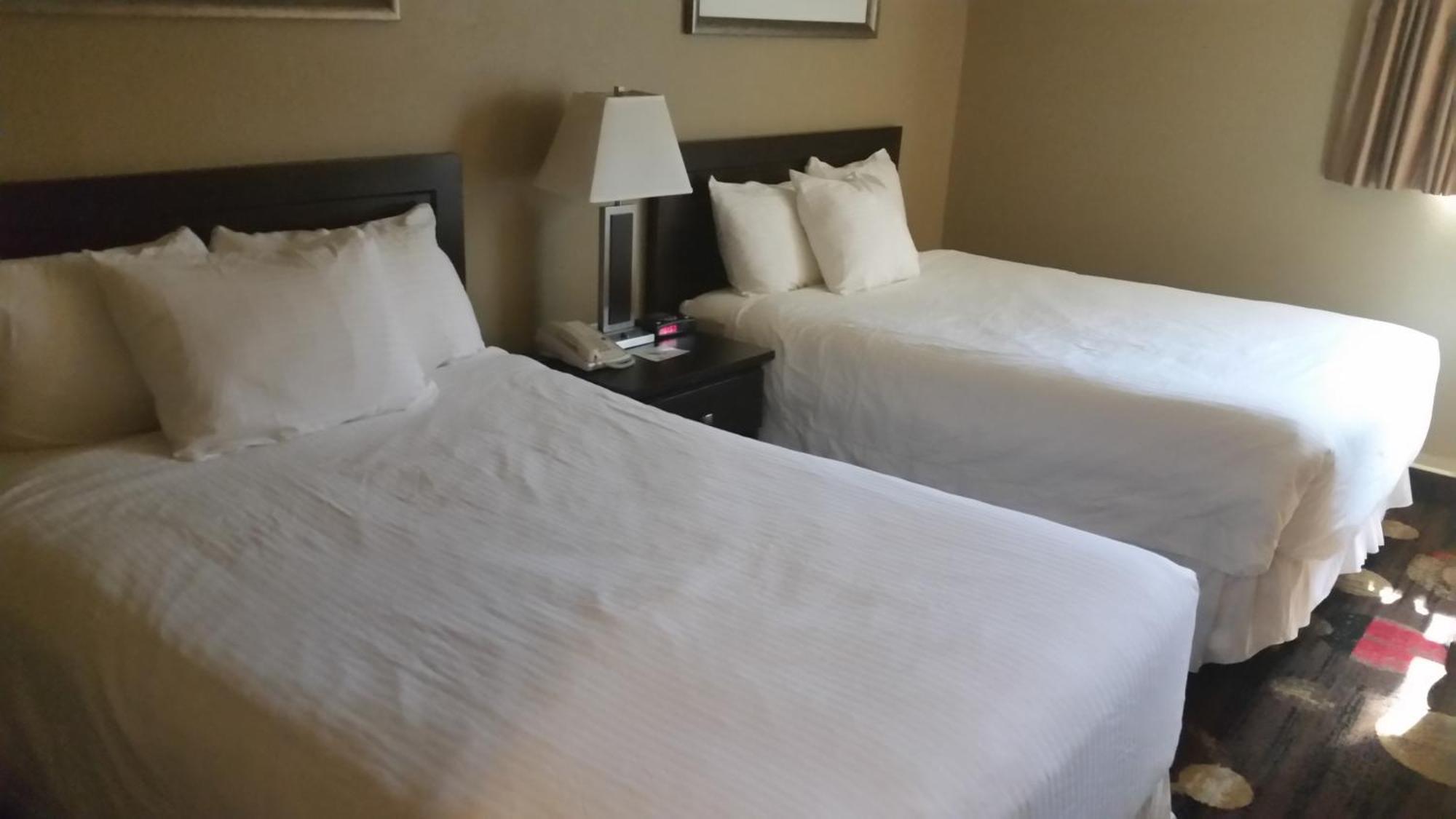 Stonebridge Hotel Fort Mcmurray Chambre photo